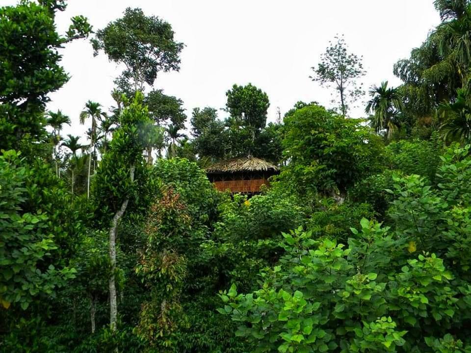 Greens Tree House & Wood House Салтэн-Батери Экстерьер фото