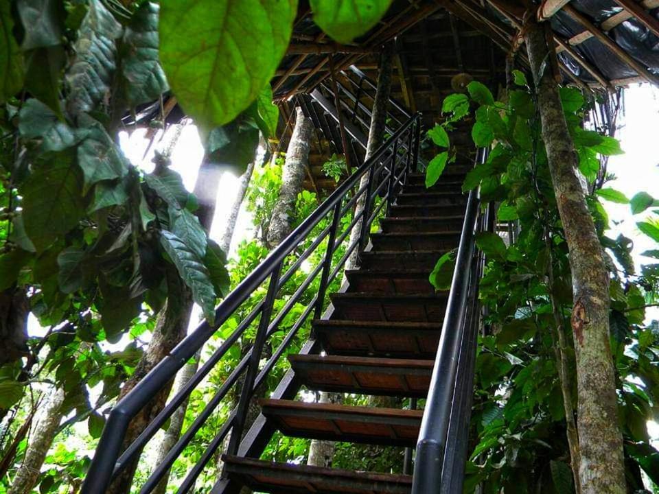 Greens Tree House & Wood House Салтэн-Батери Экстерьер фото