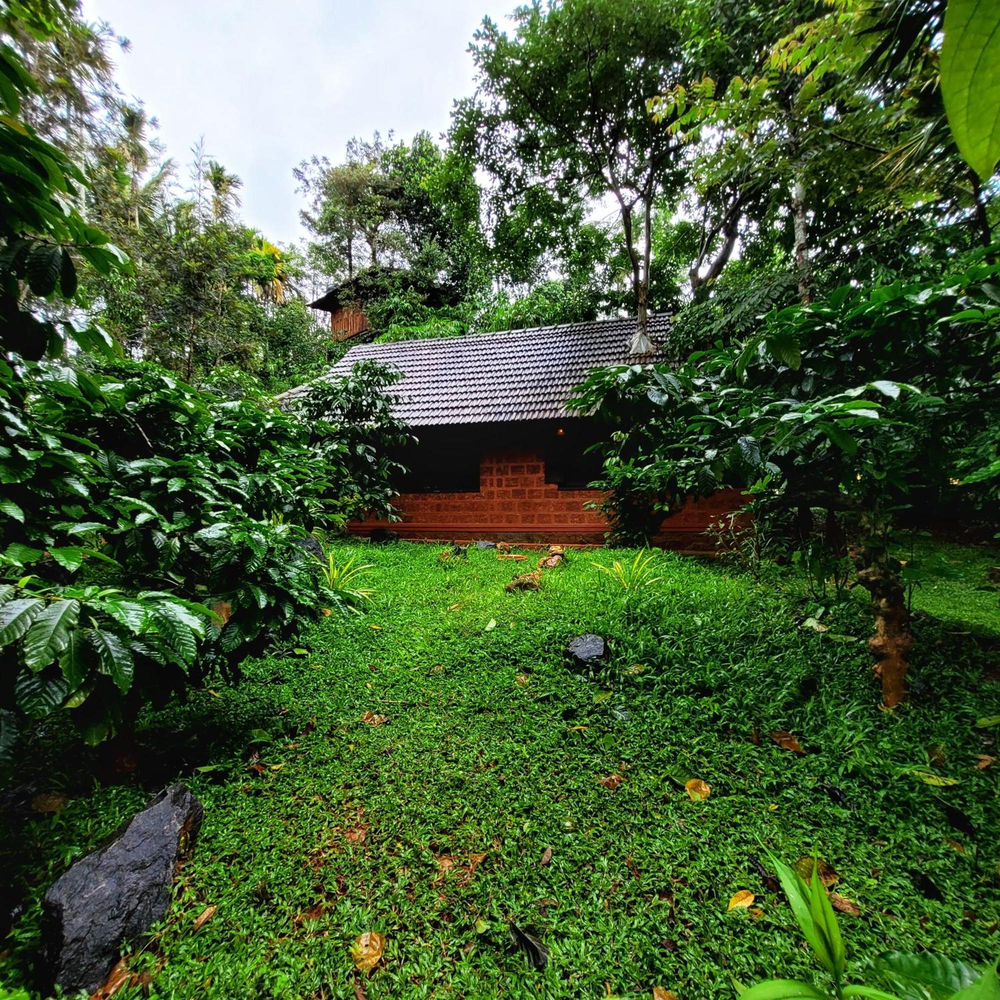 Greens Tree House & Wood House Салтэн-Батери Экстерьер фото