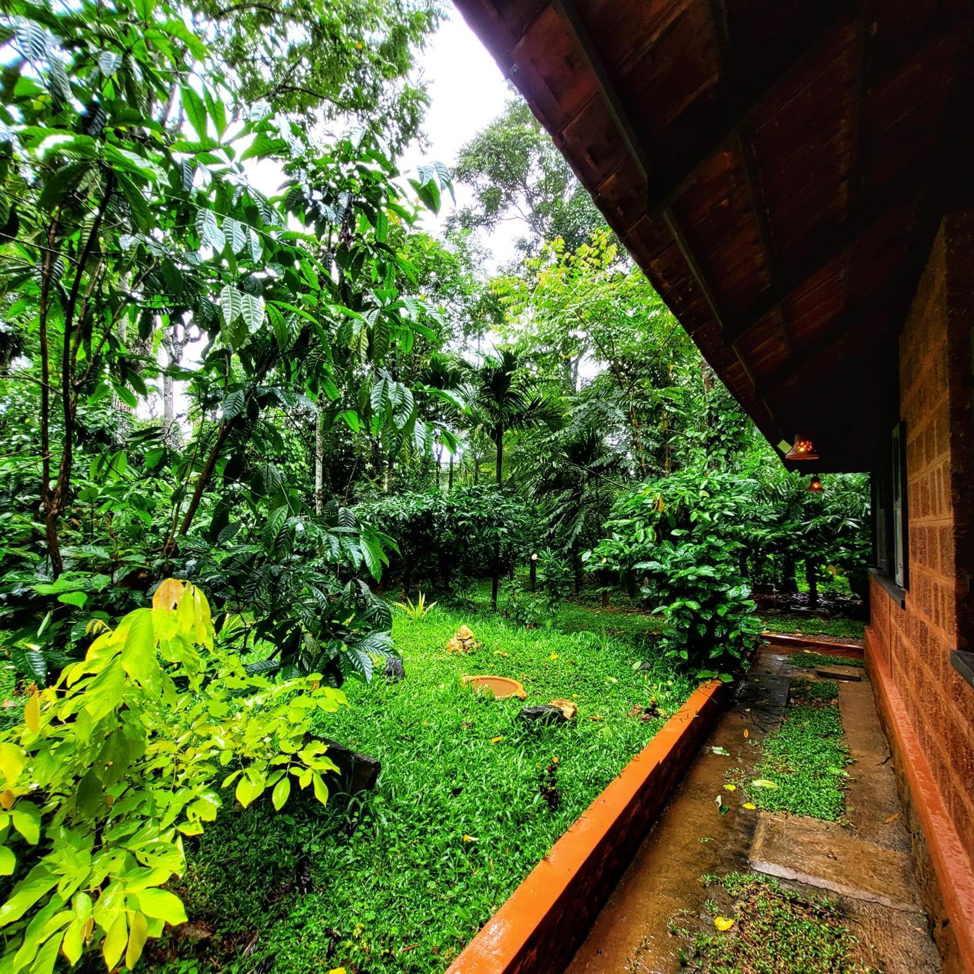 Greens Tree House & Wood House Салтэн-Батери Экстерьер фото