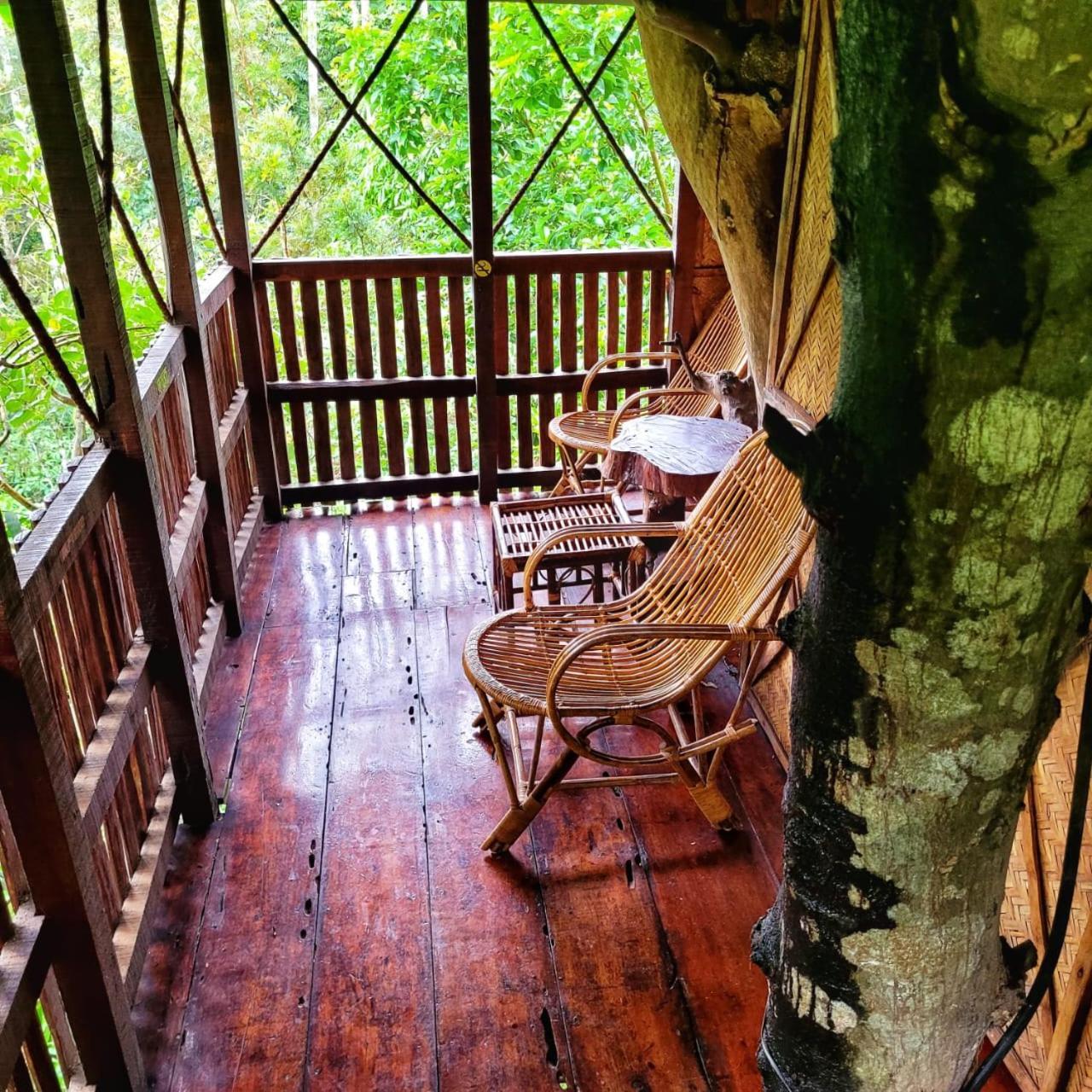 Greens Tree House & Wood House Салтэн-Батери Экстерьер фото