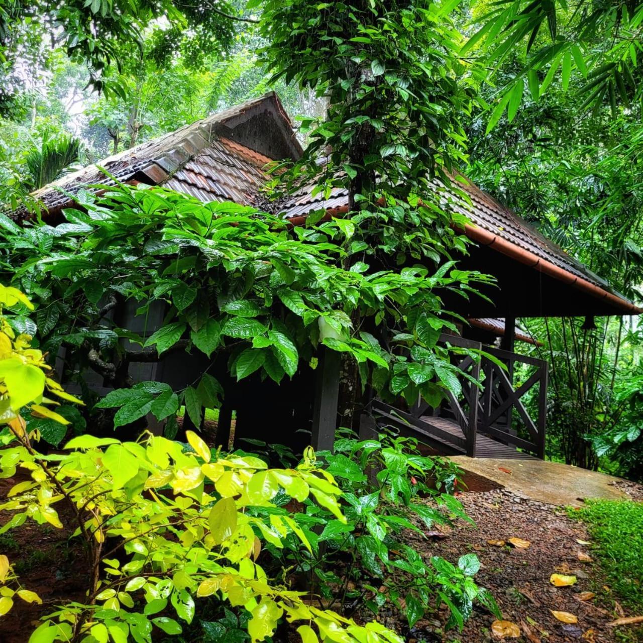 Greens Tree House & Wood House Салтэн-Батери Экстерьер фото