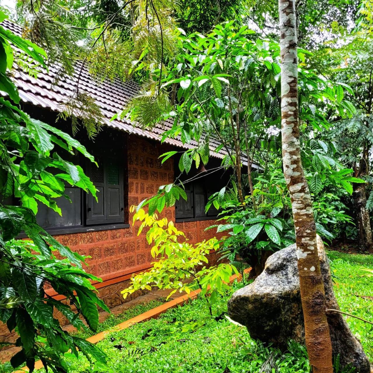 Greens Tree House & Wood House Салтэн-Батери Экстерьер фото