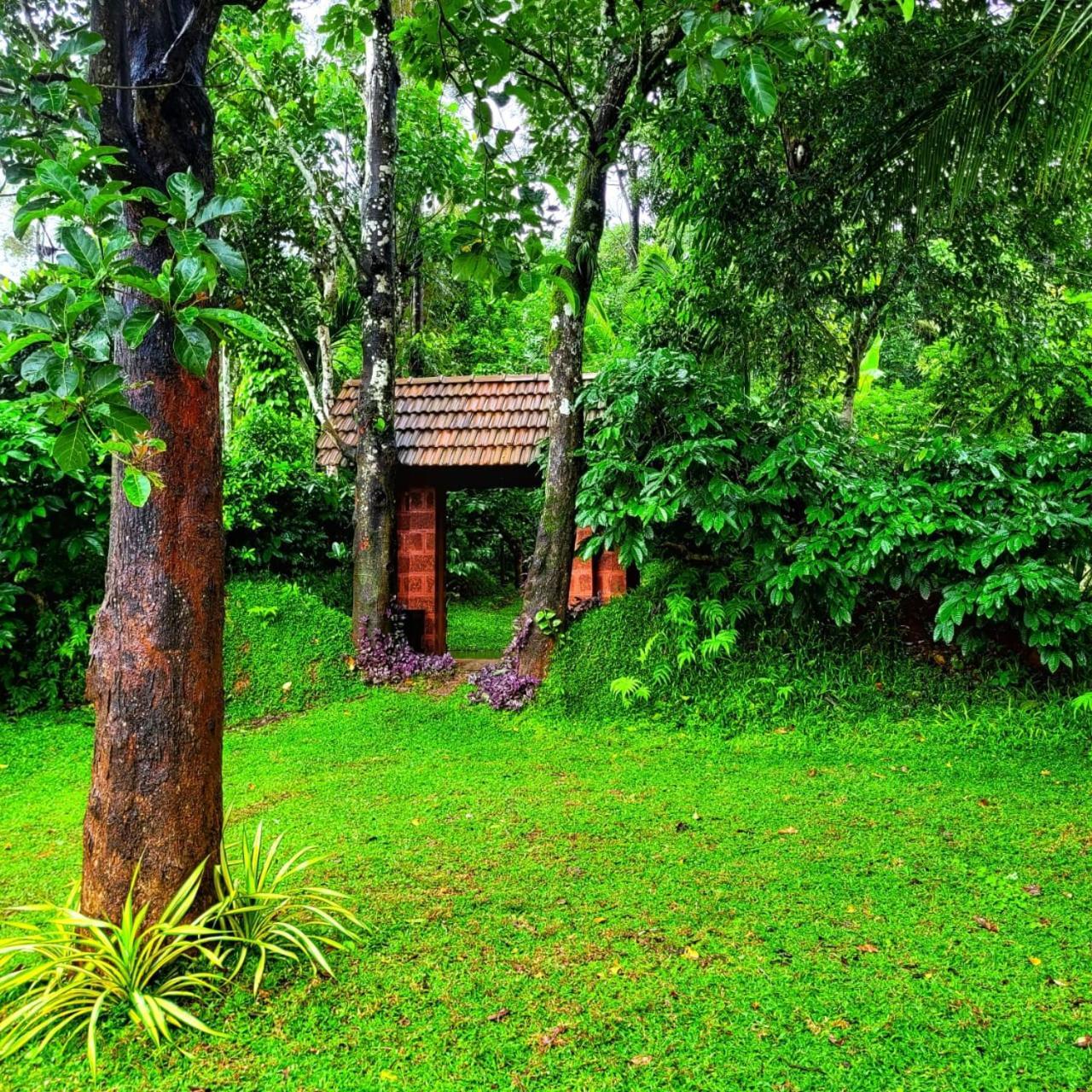 Greens Tree House & Wood House Салтэн-Батери Экстерьер фото