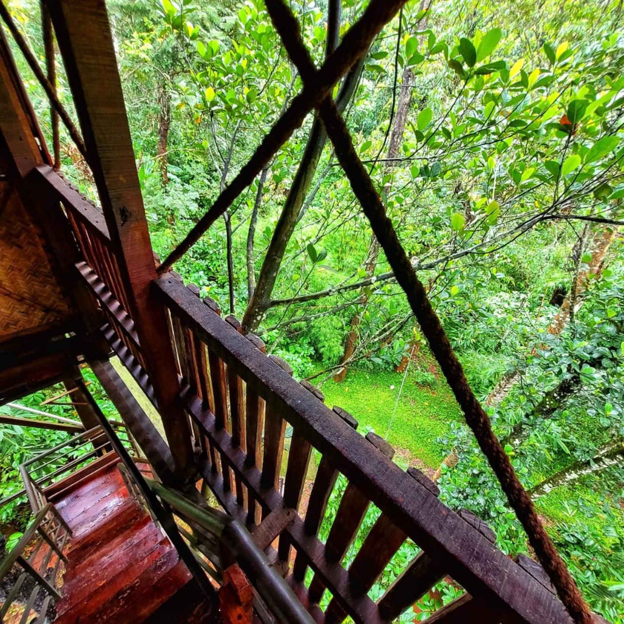 Greens Tree House & Wood House Салтэн-Батери Экстерьер фото