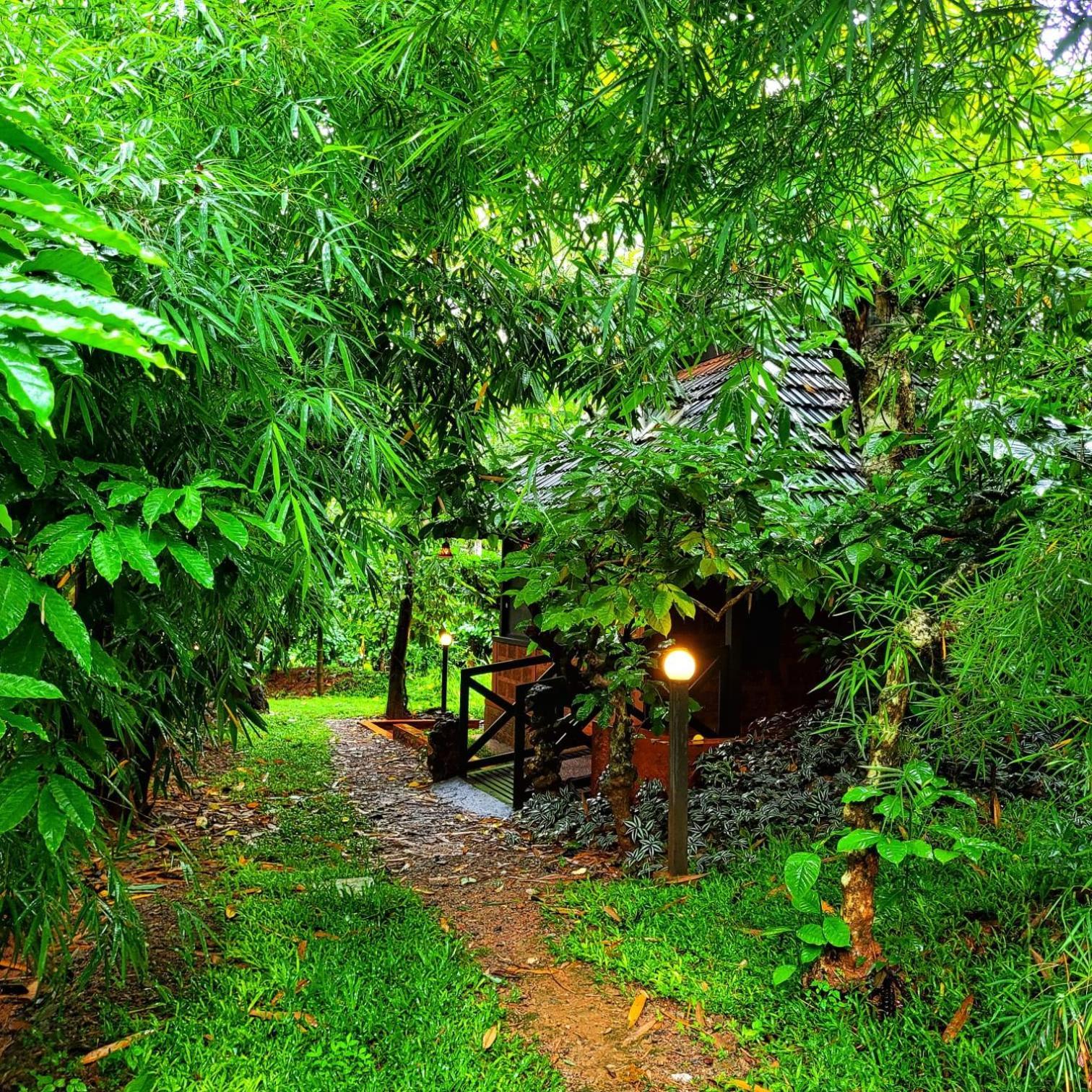 Greens Tree House & Wood House Салтэн-Батери Экстерьер фото