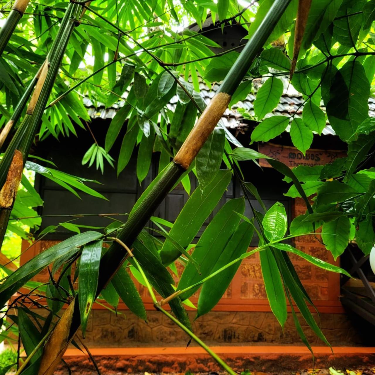 Greens Tree House & Wood House Салтэн-Батери Экстерьер фото