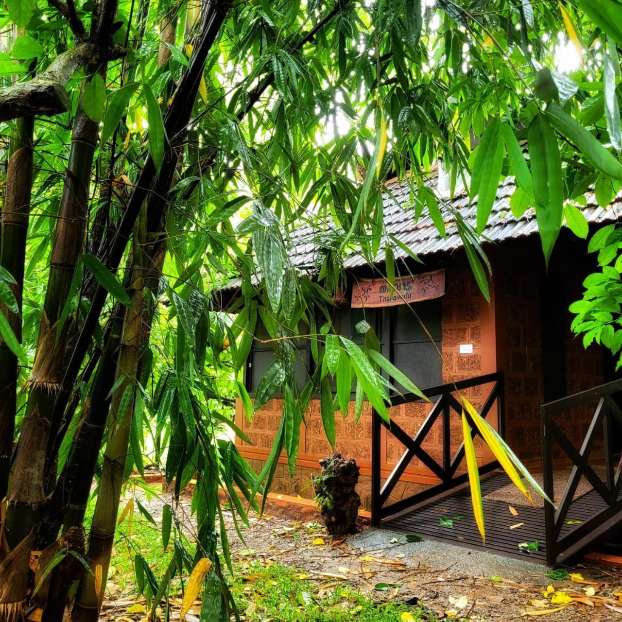 Greens Tree House & Wood House Салтэн-Батери Экстерьер фото